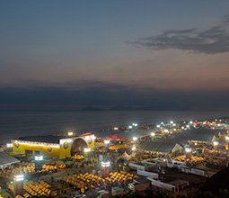 View of the Mistura Festival